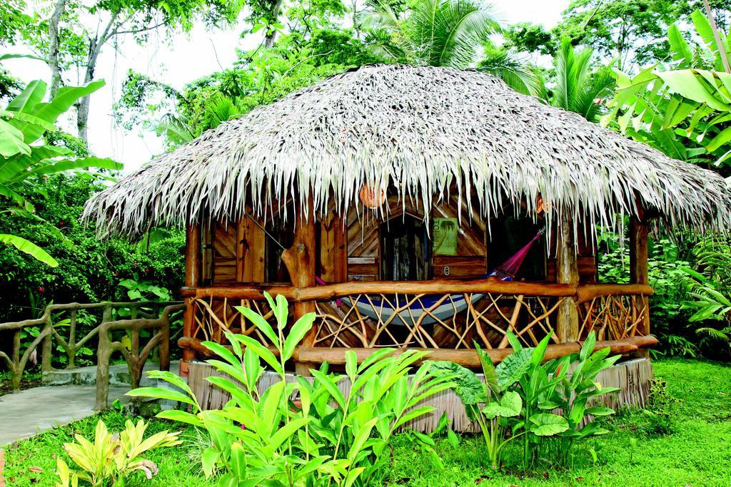 Hotel La Costa De Papito Puerto Viejo de Talamanca Exterior foto