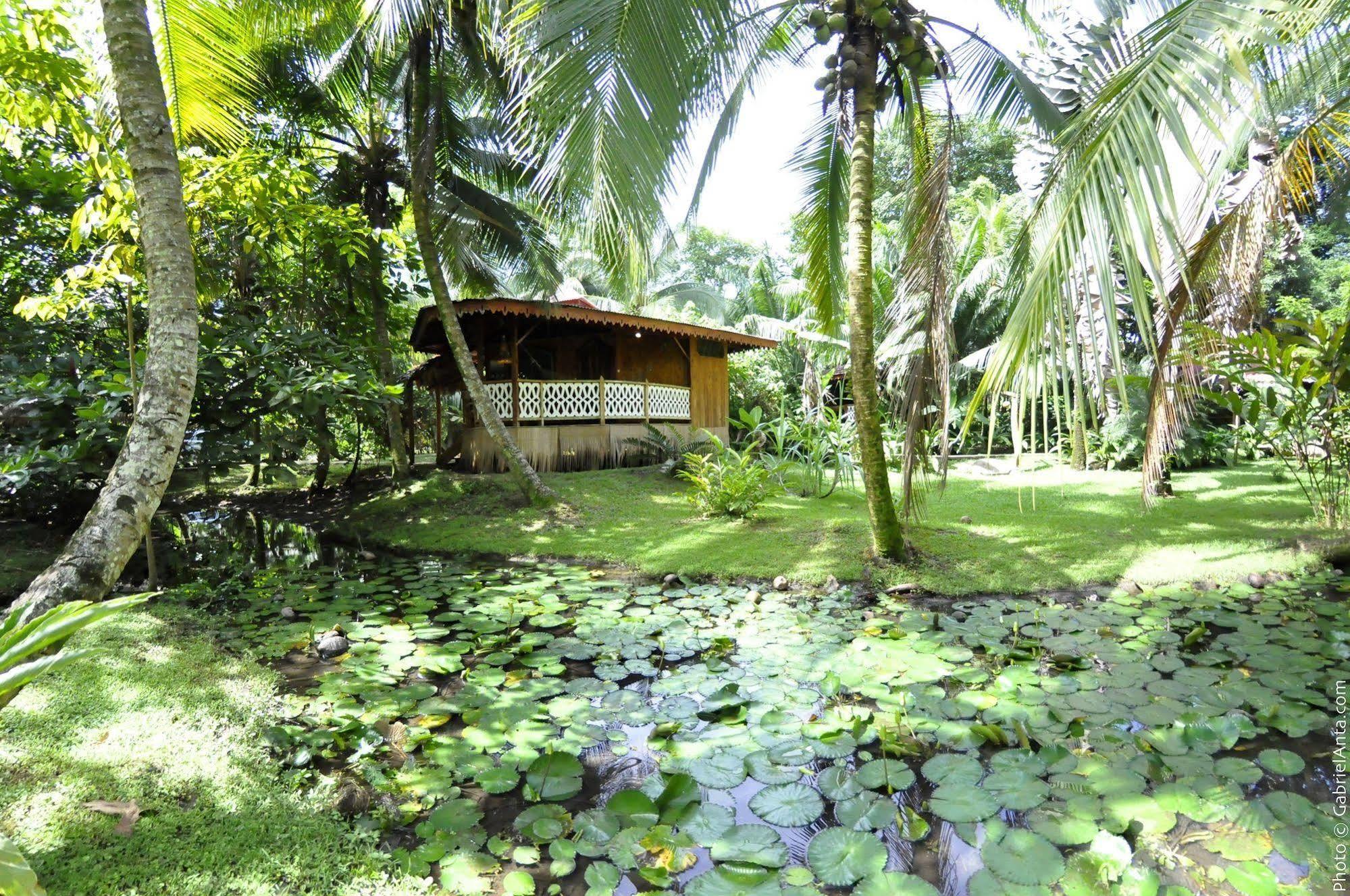 Hotel La Costa De Papito Puerto Viejo de Talamanca Exterior foto