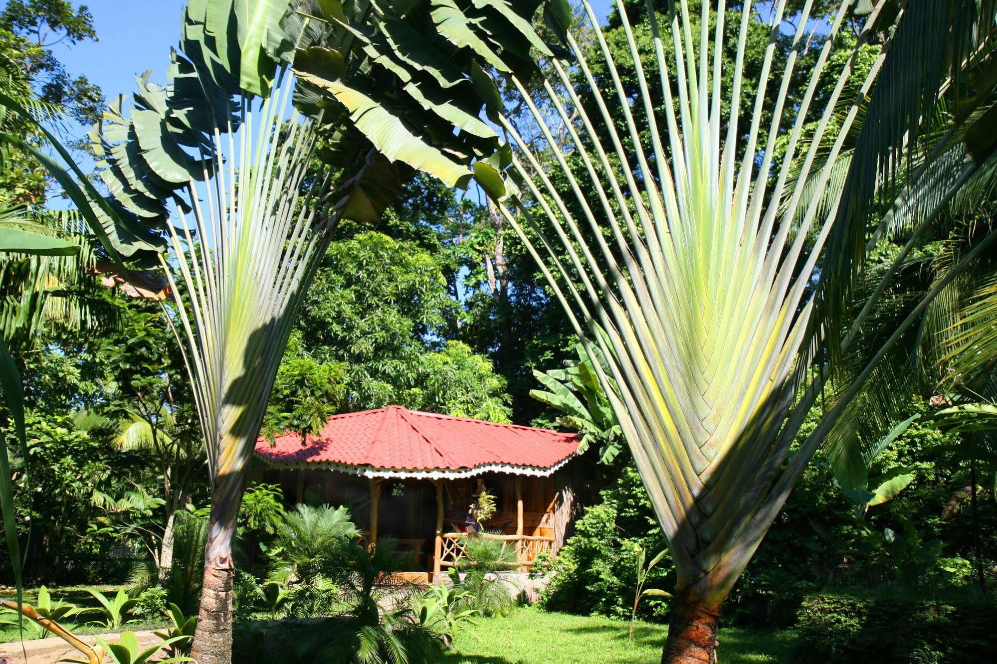 Hotel La Costa De Papito Puerto Viejo de Talamanca Exterior foto